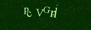 Validation image