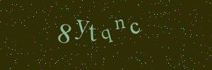 Validation image