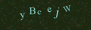 Validation image