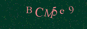 Validation image