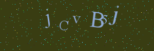 Validation image