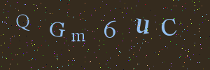 Validation image
