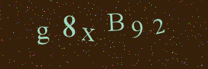 Validation image