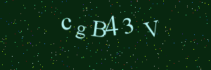 Validation image