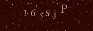 Validation image