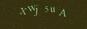 Validation image