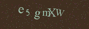 Validation image