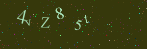 Validation image