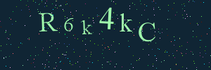 Validation image