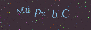 Validation image