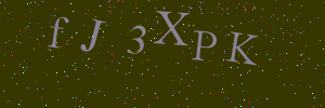Validation image