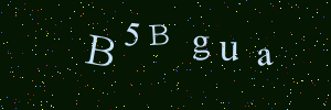 Validation image