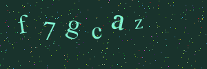 Validation image