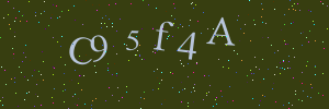 Validation image