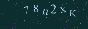 Validation image