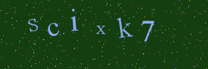 Validation image