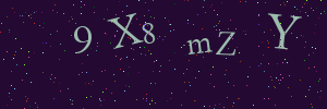 Validation image