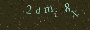 Validation image