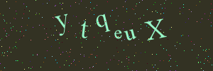 Validation image