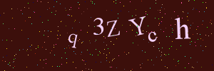 Validation image