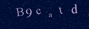 Validation image