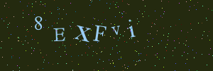 Validation image