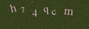 Validation image