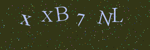 Validation image