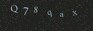 Validation image