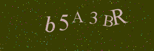Validation image