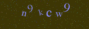 Validation image