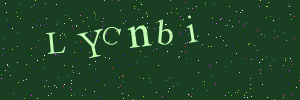 Validation image