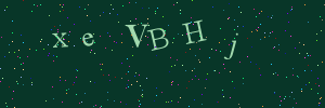 Validation image