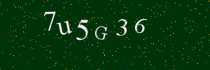 Validation image