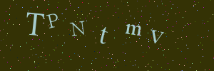 Validation image