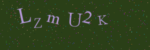 Validation image