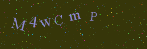 Validation image
