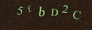 Validation image