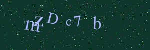Validation image