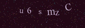 Validation image