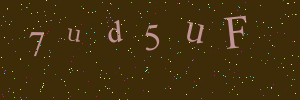 Validation image