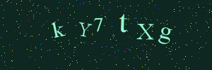 Validation image