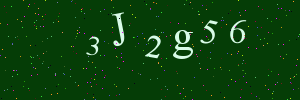 Validation image