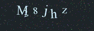 Validation image
